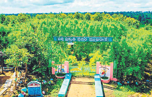 Palle Prakruti Vanam